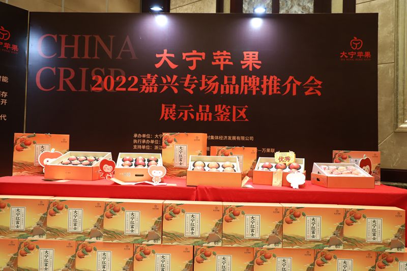 推介会.jpg
