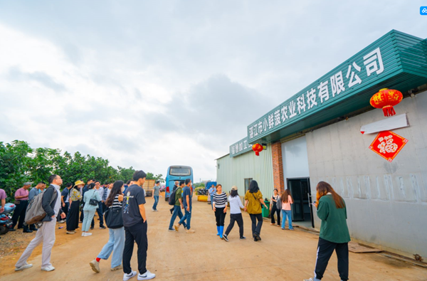 图片3_副本.png