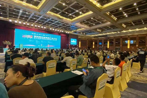 图片2_副本.png