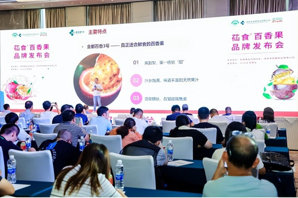 图片4_副本.png