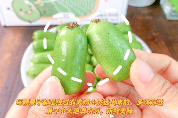 图片6_副本.png