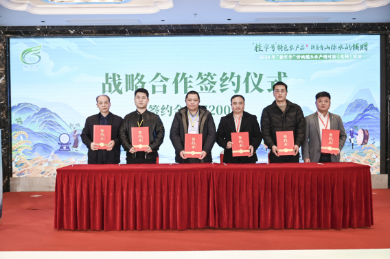 微信图片_20241226100023.png