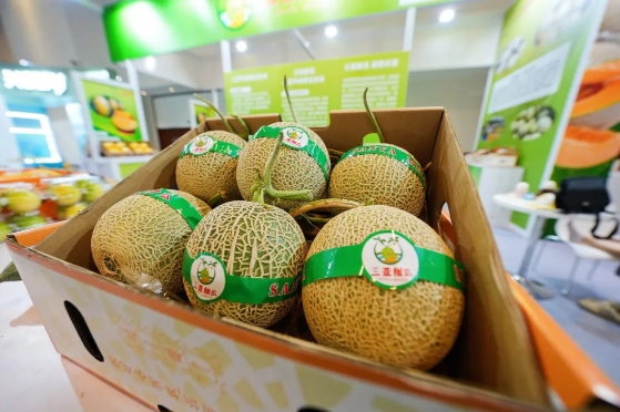 微信截图_20250120151212.png